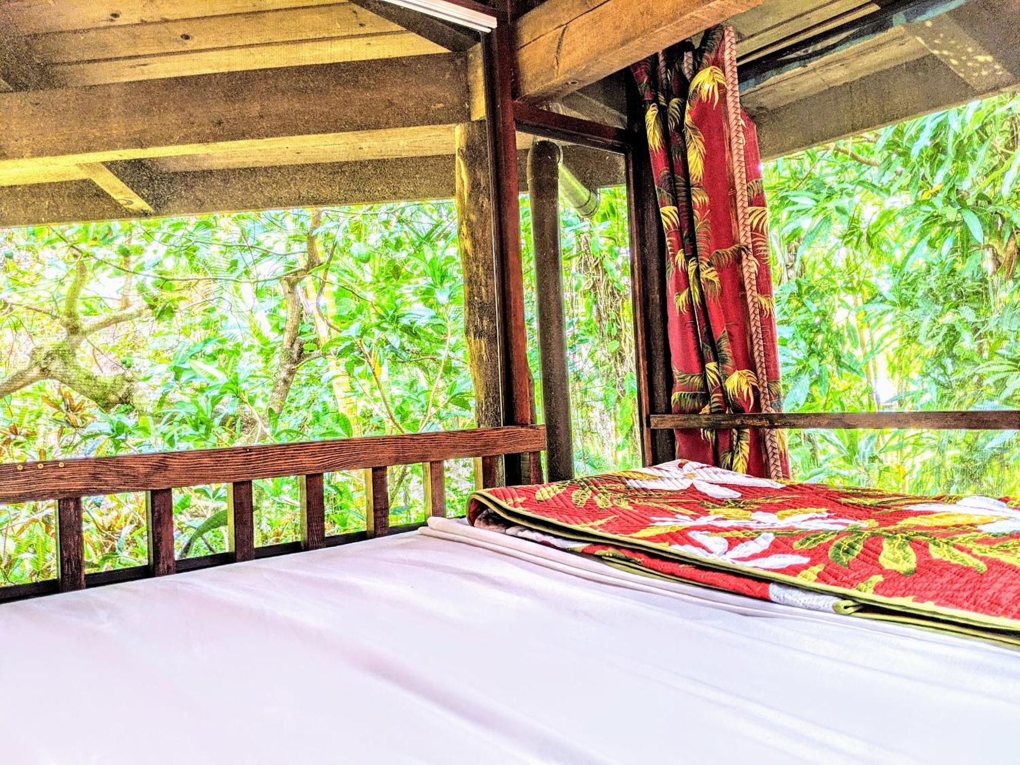 パホア Kehena Mauka Nui Club Lgbtqia+ Clothing Optional Bed & Breakfast 部屋 写真